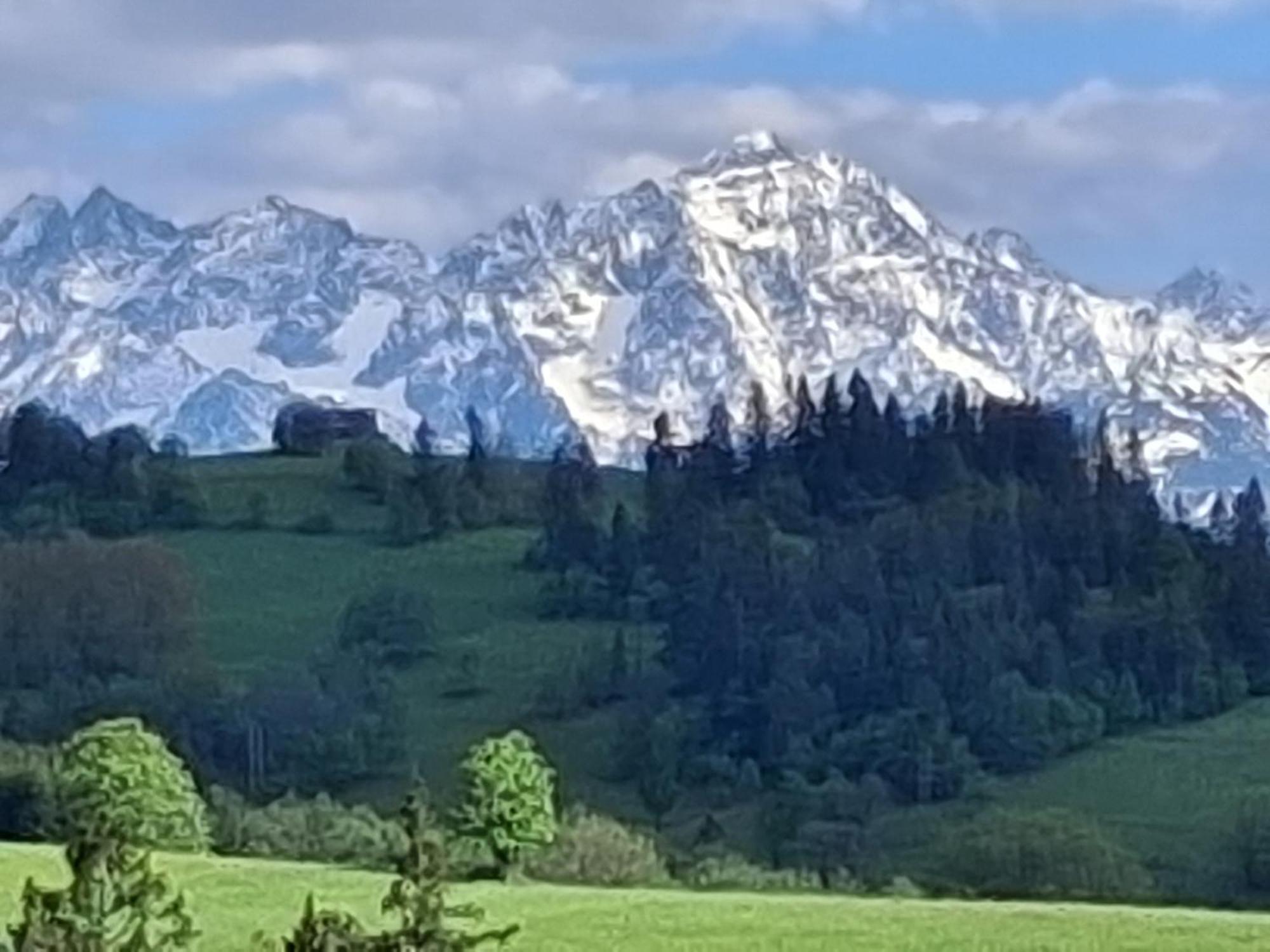 Dom Z Widokiem Na Wierchy - Panorama Na Tatry - Traditional Folk House Gliczarów 外观 照片
