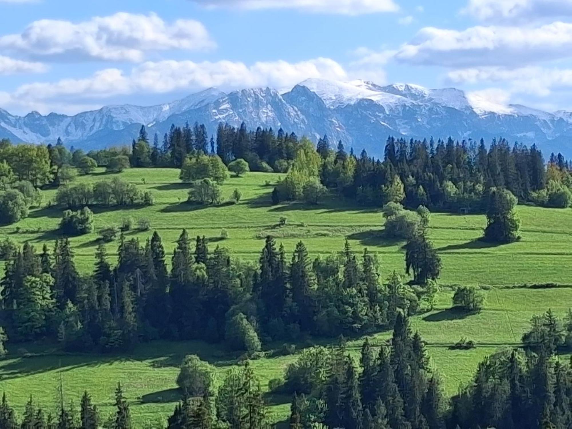 Dom Z Widokiem Na Wierchy - Panorama Na Tatry - Traditional Folk House Gliczarów 外观 照片