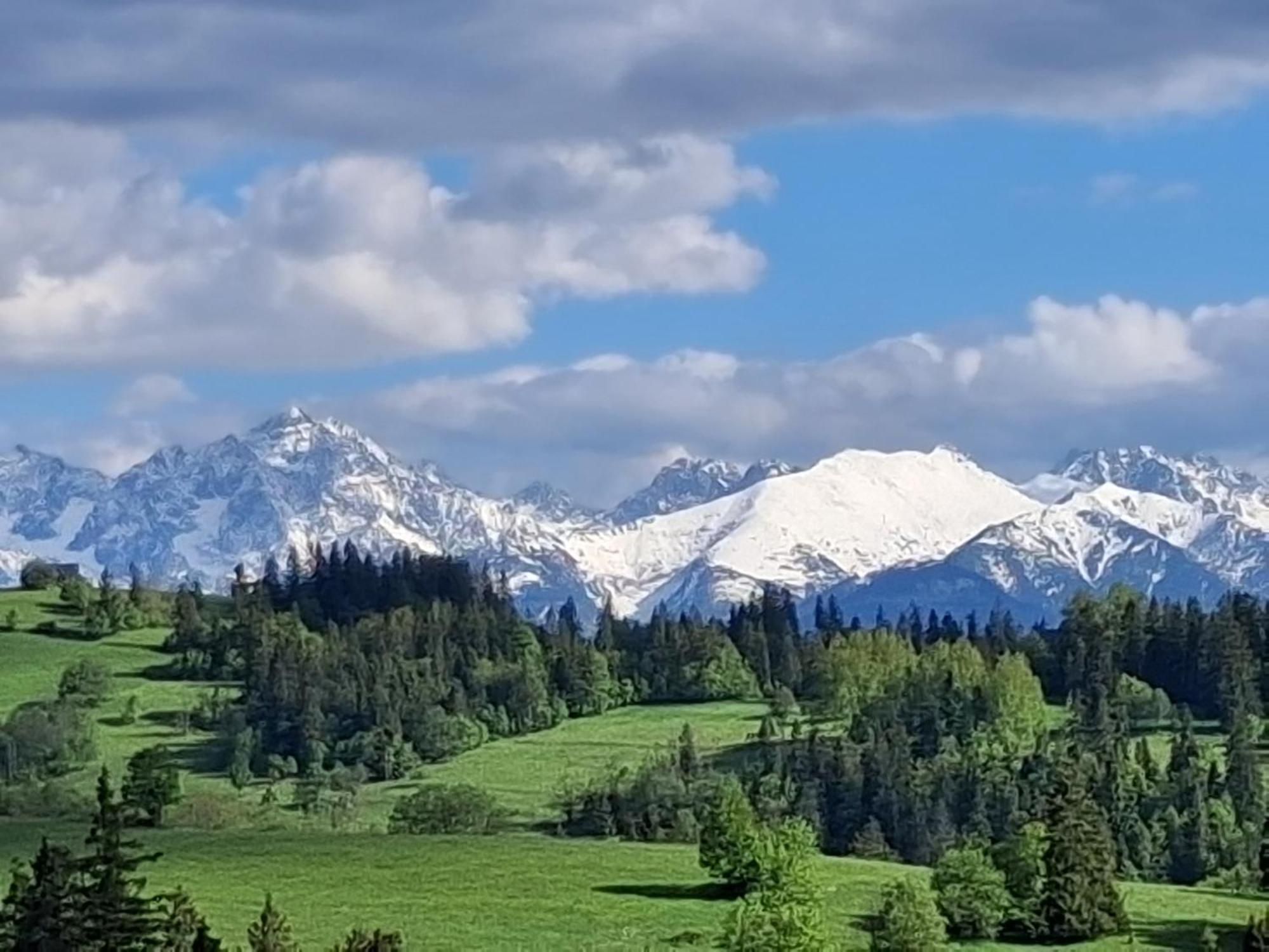 Dom Z Widokiem Na Wierchy - Panorama Na Tatry - Traditional Folk House Gliczarów 外观 照片